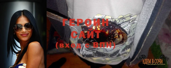 стаф Тайга