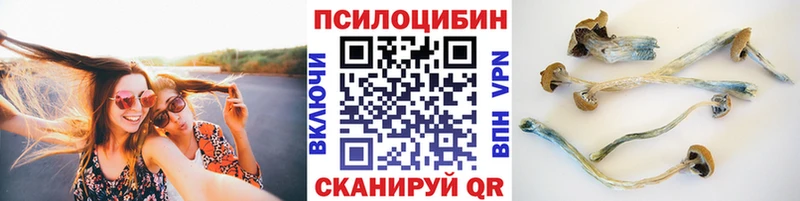 Псилоцибиновые грибы Psilocybine cubensis  купить наркотики цена  Десногорск 